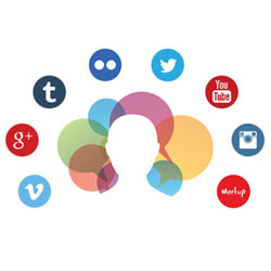 Digital Opinion Leader Identification & Profile